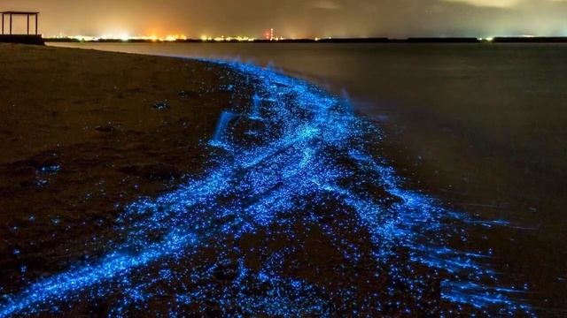 Звездное море. Остров Ваадху, Мальдивы. смотреть онлайн