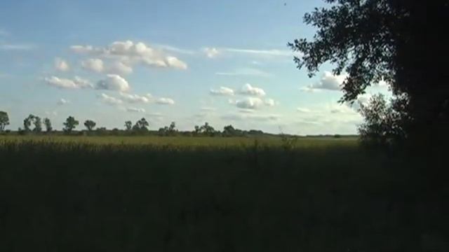 Горелый лес и поле Гросс-Егерсдорфа 05 07 2009 смотреть онлайн