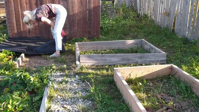 Подготовка грядок к следующему сезону ?. Сбор урожая ❤️. #видео #дача #огород #ремонт смотреть онлайн