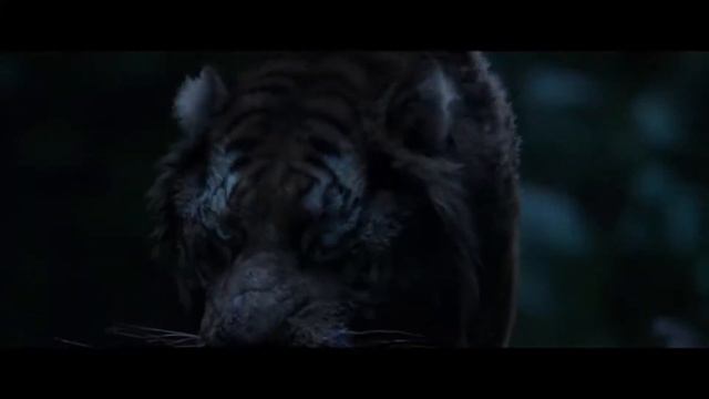 Великий тигр против волков