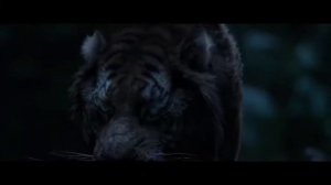 Великий тигр против волков