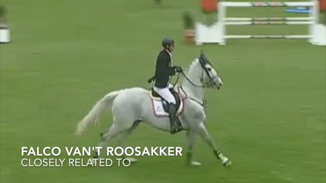 The best combination, Cornet and Electra смотреть онлайн