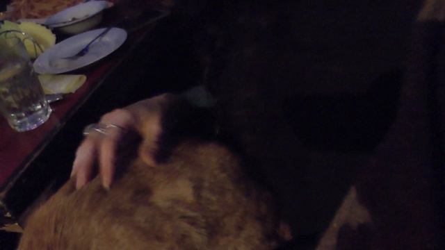 02 16 2017 224255 смотреть онлайн