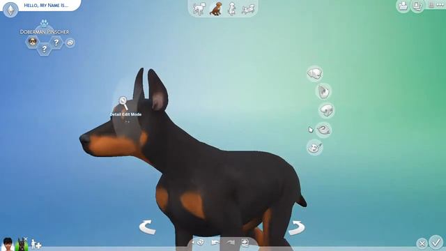 Sims 4 Cats & Dogs - Making a White Doberman смотреть онлайн