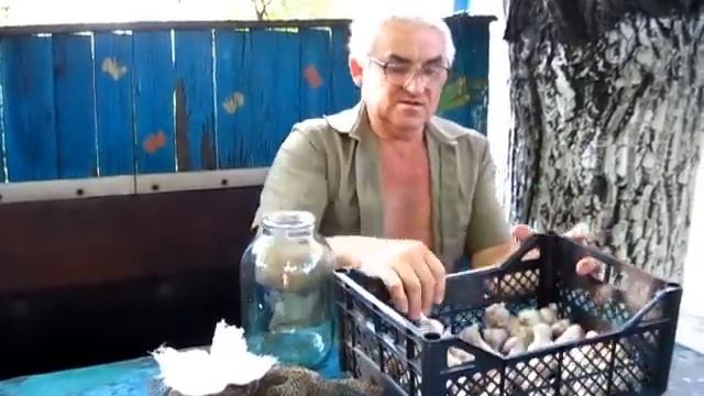 САМЫЙ ЛУЧШИЙ СПОСОБ ХРАНЕНИЯ ЧЕСНОКА. КАК ХРАНИТЬ ОЗИМЫЙ ЧЕСНОК смотреть онлайн