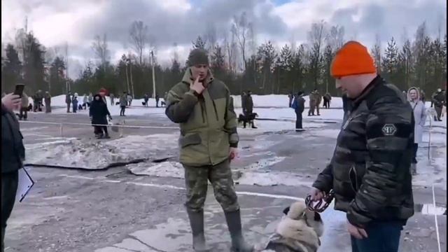 Выставка собак охотничьих пород. Эльхунды, карельские лайки, гончаки и прочие породы собак. смотреть онлайн