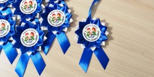 Брошь, Розетка, Значок, Медаль выпускника из атласных лент своими руками. Канзаши.