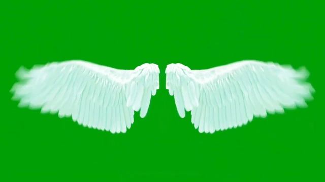 Angel wings green screen смотреть онлайн