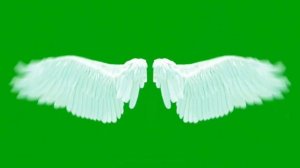 Angel wings green screen