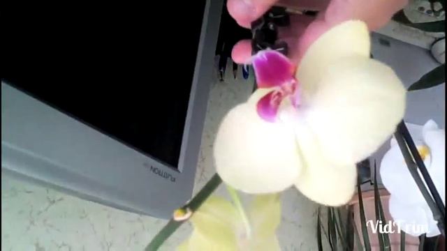 Я в Пятигорске. День1. Часть 1. Едем в Пятигорск. Ужинаем в кафе Неополитано