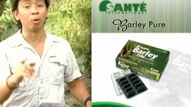 Sante Pure Barley By Kim Atienza - Santa Cruz Franchised office смотреть онлайн