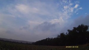 Охота в Крыму на вяхиря