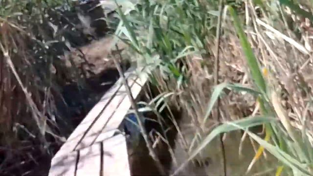 Первое видео не судите строго красота Албаши смотреть онлайн