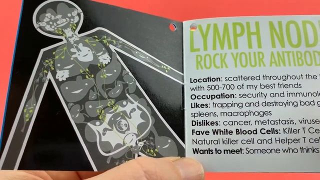 Love Your Lymph Node! - Cute Lymph Node Plushie смотреть онлайн