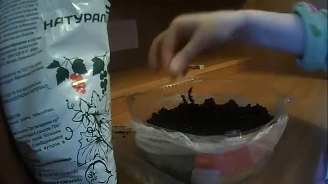 САЖАЮ РЕДИСКУ 18 ДНЕЙ НА ПОДОКОННИКЕПРОВОЖУ ОПЫТ ВЫРАЩИВАНИЯ РЕДИСА В КВАРТИРЕ (360p).mp4