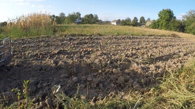 Копаем картошку мотоблоком Мотор Сич смотреть онлайн