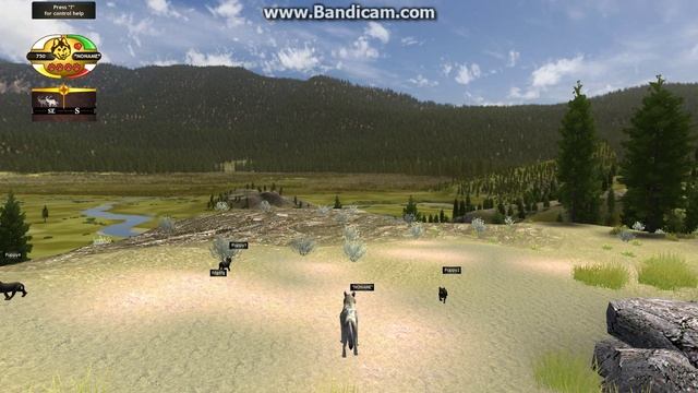 Прохождение игры - WolfQuest. Эпизод 2 смотреть онлайн