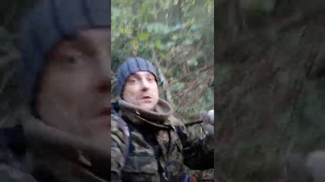 "КРЫЛАТЫЕ КАЧЕЛИ....."или КУДА ТЕБЯ Х.. ЗАНЕС"??? смотреть онлайн