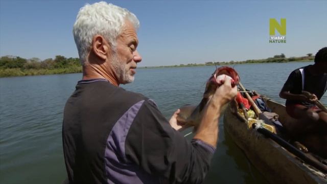 Могучие реки с Джереми Уэйдом. Замбези