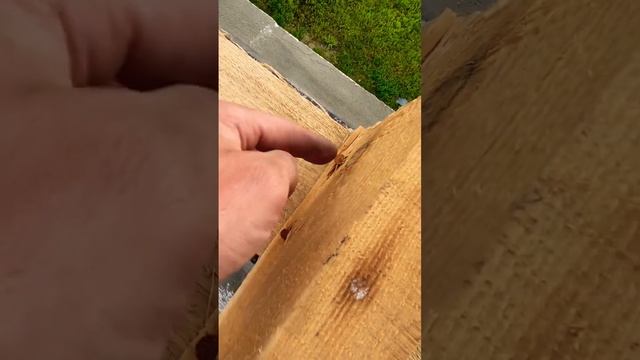 Крепление балки к мауэрлату #diy #vlog #домизгазобетона #своимируками #стропильнаясистема