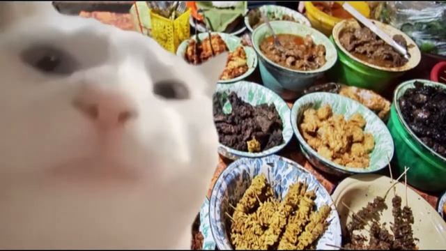 cat vibing west java смотреть онлайн