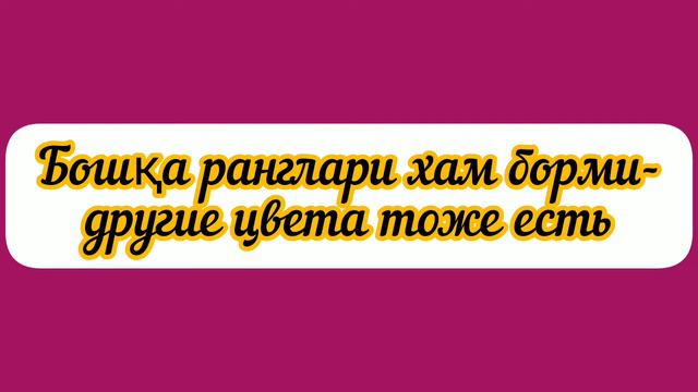 46- дарс.Рус тили.Кийим -кечак дўконида савдо қилиш.Оғзаки нутқ.Узбекско-русские предложения. смотреть онлайн
