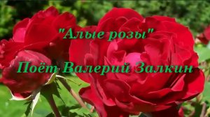 Алые розы