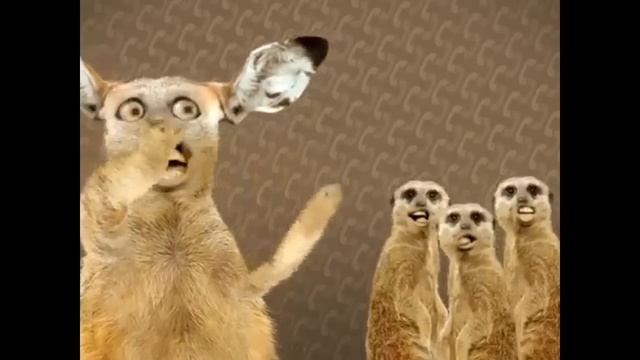 Озон-нума нума ей