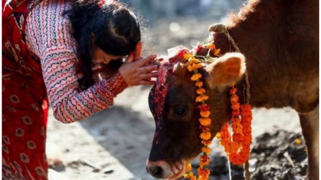 ஜாதகம் இல்லாதவர்களுக்கான சக்தி வாய்ந்த வழிபாட்டு முறைகள் смотреть онлайн