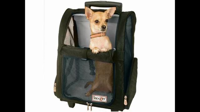 сумки с изображением собак смотреть онлайн