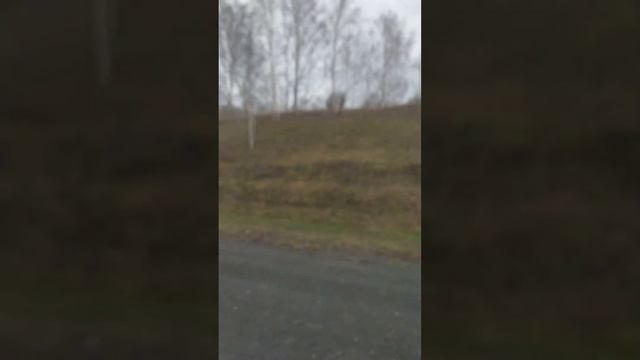 От Плотниково до Новосибирска из окна тачки : 1 смотреть онлайн