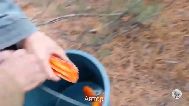 01.12.2023. Як людям взаємодіяти з системою щоб жити в правовій Державі Україна. смотреть онлайн