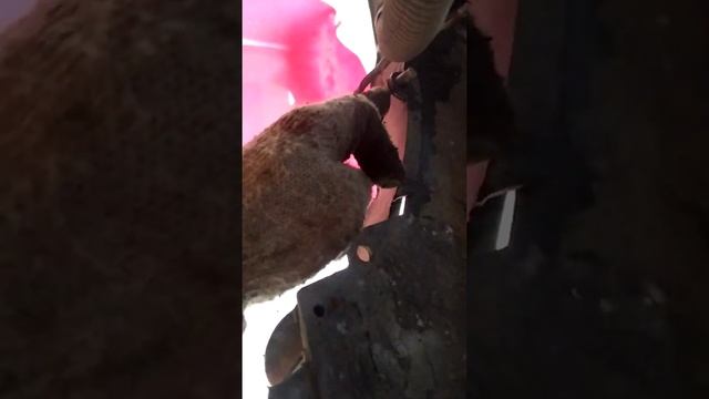 Умные советы по ремонту