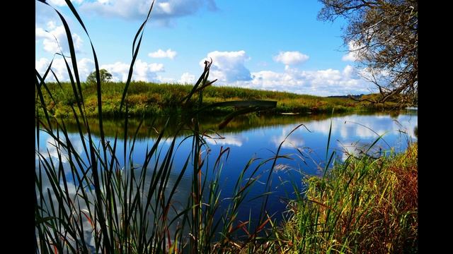 Берега жизни. смотреть онлайн