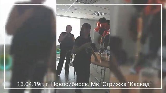 13 апреля 2019г. г.Новосибирск МК функциональный груминг: "йорк в стрижке каскад" смотреть онлайн