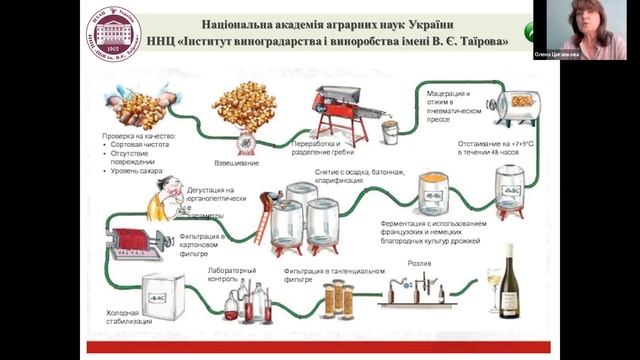 Літня школа виноградаря 2021. День 6
