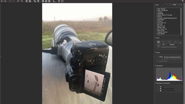 Auto Bracketing with Digital. With Arthur Morris//BIRDS AS ART смотреть онлайн