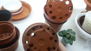 Обзор горшков для кампанул. Какие лучше?