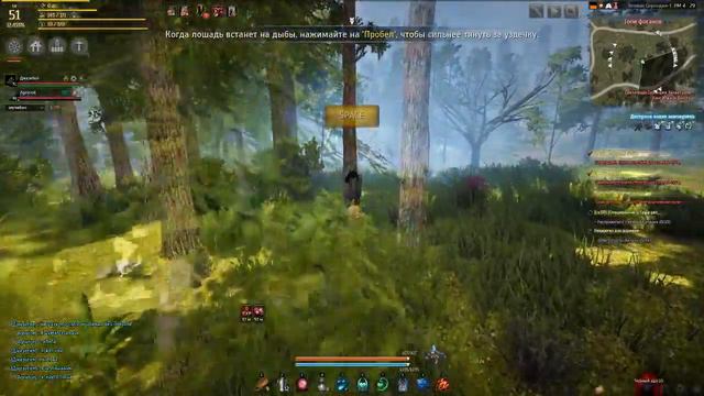 Black Desert как я ловлю лошадей смотреть онлайн