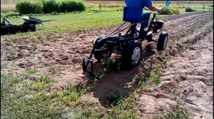 4.     Мотоблок УГРА с полноприводный адаптером АМПК 500 в работе.