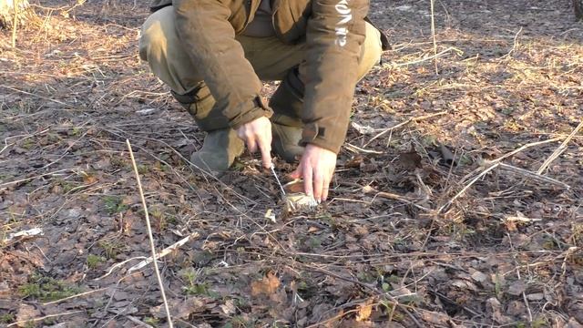 Для чего подойдет НОЖ "Зяблик" из стали ELMAX от Ворсменского завода кованых ножей. смотреть онлайн