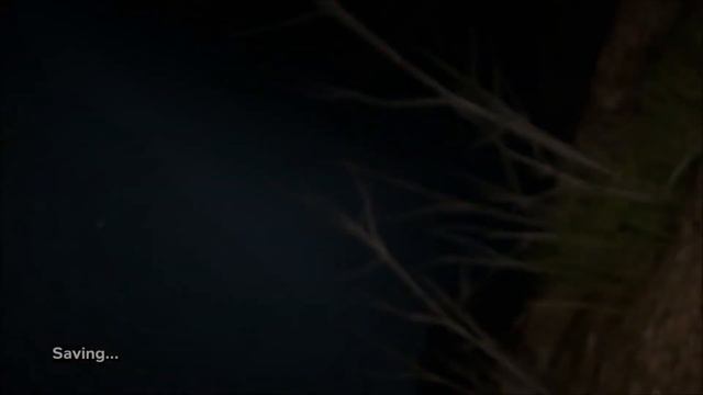 Outlast 2 Ep 3 Back to school LIETUVIŠKAI смотреть онлайн