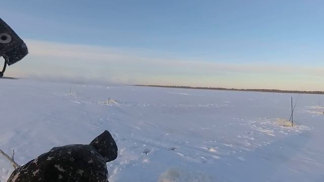 Зимняя рыбалка в Якутии! Река Вилюй! 13/11/21 смотреть онлайн