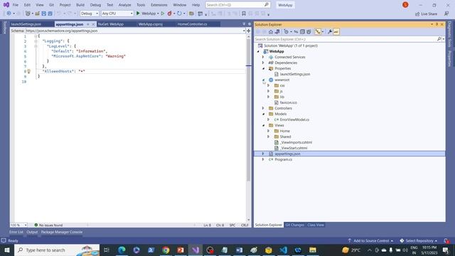4- AppSettings.json and wwwroot of DotNet Core in Hindi смотреть онлайн