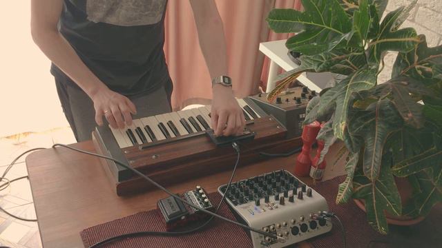 НОВИЧОК СЕССИЯ 1 ПОКОЛЕНИЕ КОРГ смотреть онлайн