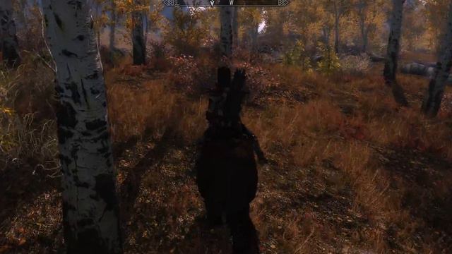 Skyrim TESV Realsitic Lighting Vision + Tweaks Day 4_44pm смотреть онлайн