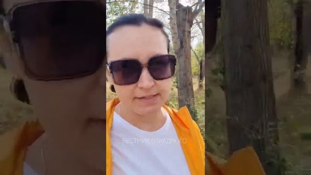 Редакция ВЕСТНИКА хочет изучить спрос на междугородние автобусы смотреть онлайн