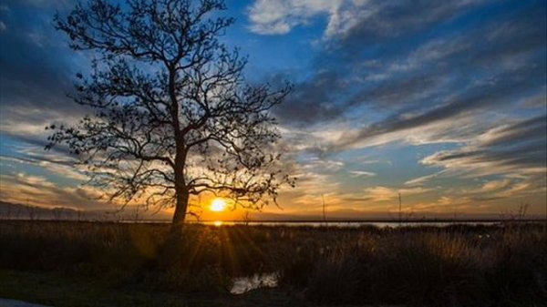 nim wstanie dzień - Edmund Fetting