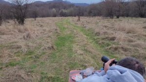 DOBERMAN ПИСТОЛЕТЫ 4.5мм и 6.35мм.ОТСТРЕЛ НА 50м.