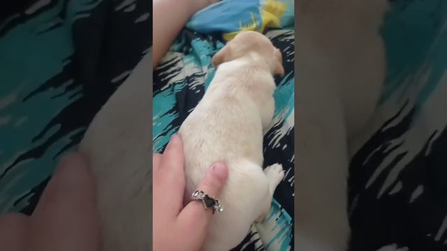 18 июля 2022 г. смотреть онлайн